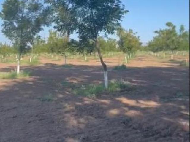 Departamento en venta en Meoqui, Chihuahua