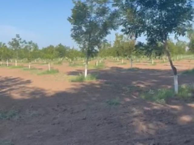 Rancho en venta en Meoqui