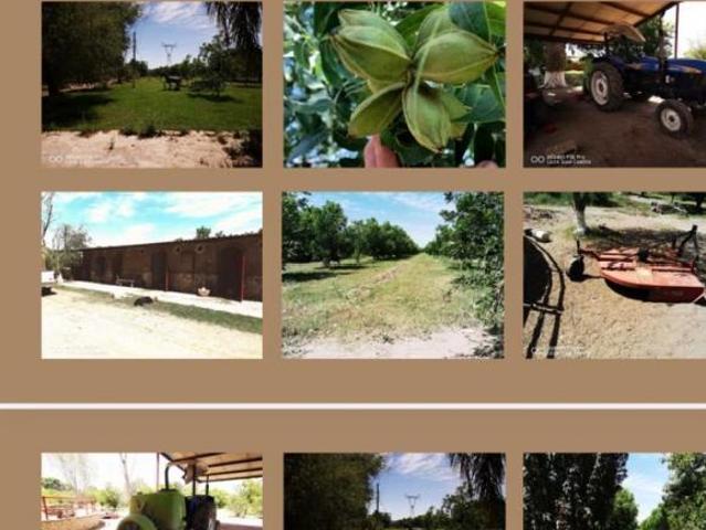 Rancho nogalero funcionando
