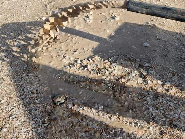 Rancho en venta en Juárez, Chihuahua