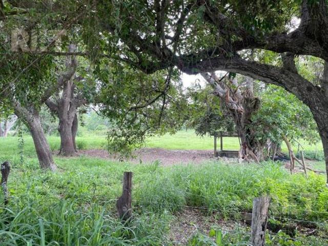 Rancho en venta en Tampico Alto, Veracruz