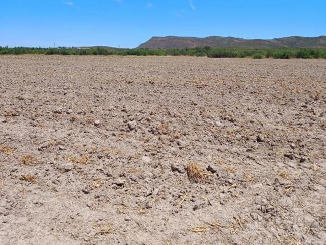 Rancho Potrerillo las Garzas en VENTA