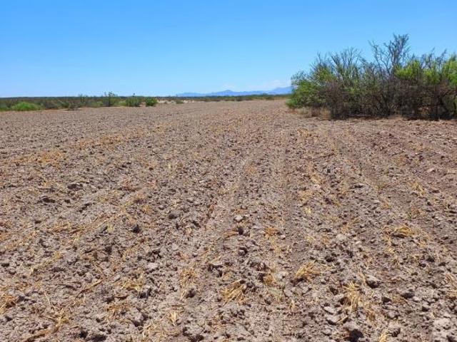 Rancho Potrerillo las Garzas en VENTA