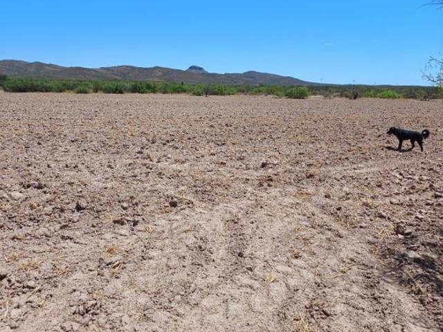 Rancho Potrerillo las Garzas en VENTA