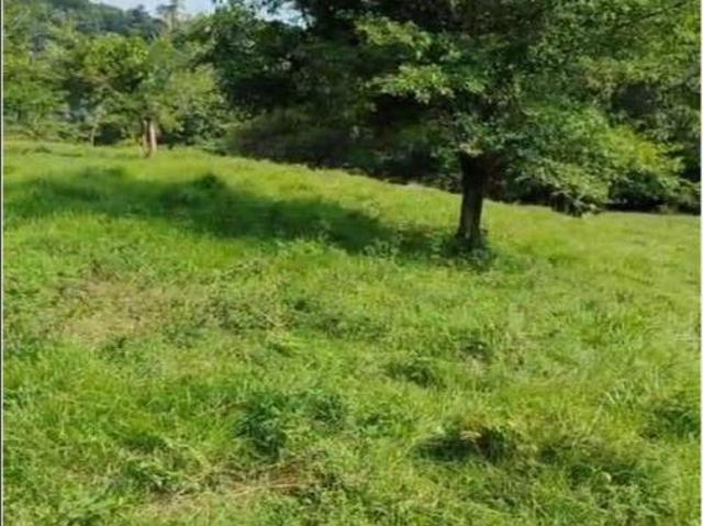 Rancho Productivo Cuetzalan Remato