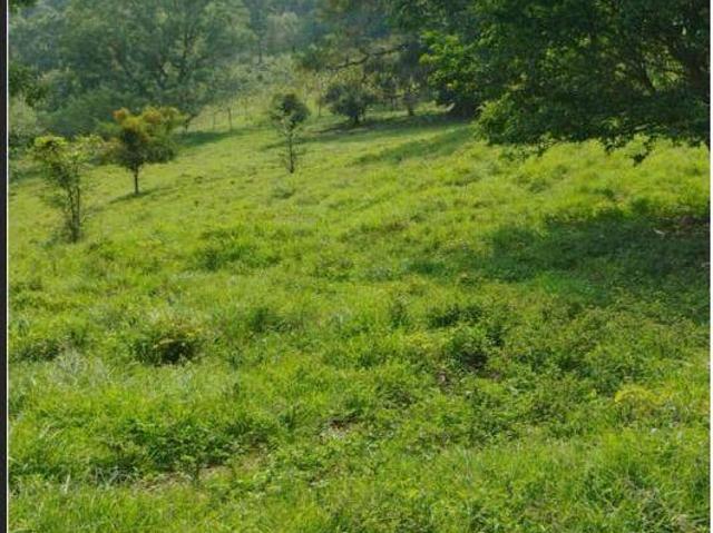 Rancho Productivo Cuetzalan Remato