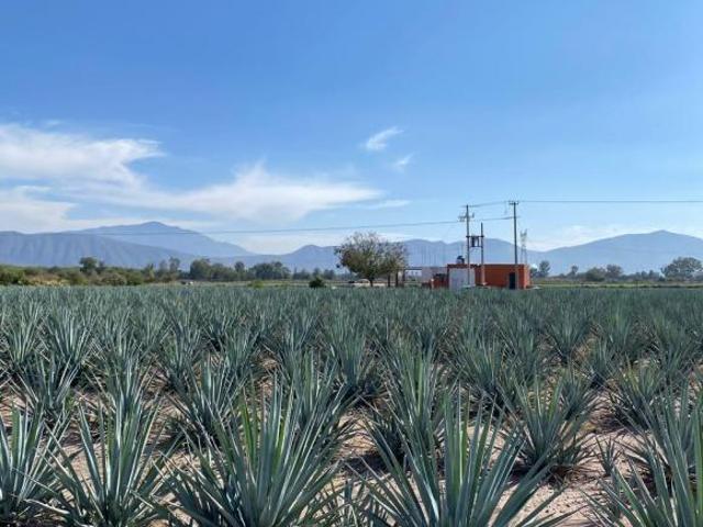 Rancho en venta en Zacoalco De Torres, Jalisco