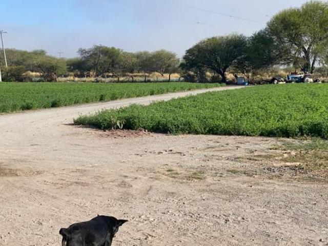RANCHO PRODUCTOR DE AGAVE EN ZACOALCO DE TORRES