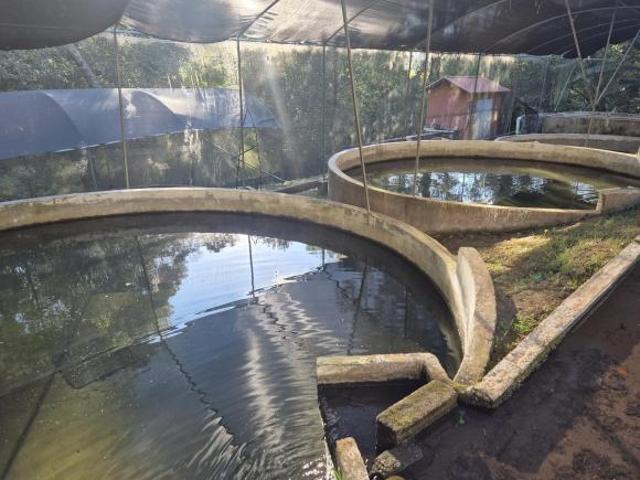 Quinta en venta en Donato Guerra, Estado de México