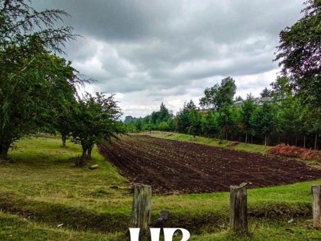 Rancho, San Nicolás Amealco, Almoloya de Juárez, EDOMEX