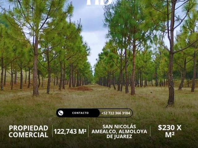 Rancho, San Nicolás Amealco, Almoloya de Juárez, EDOMEX