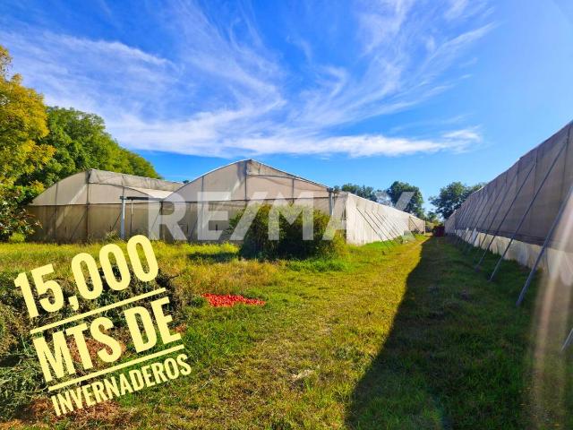 Terreno en venta en Villa De Zaachila, Oaxaca
