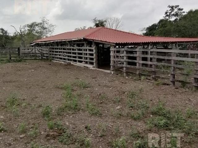 Rancho en venta en Pánuco, Veracruz