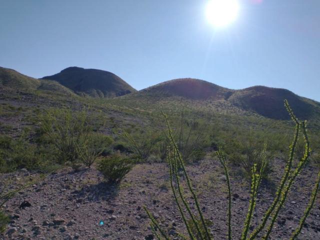 Departamento en venta en Ahumada, Chihuahua