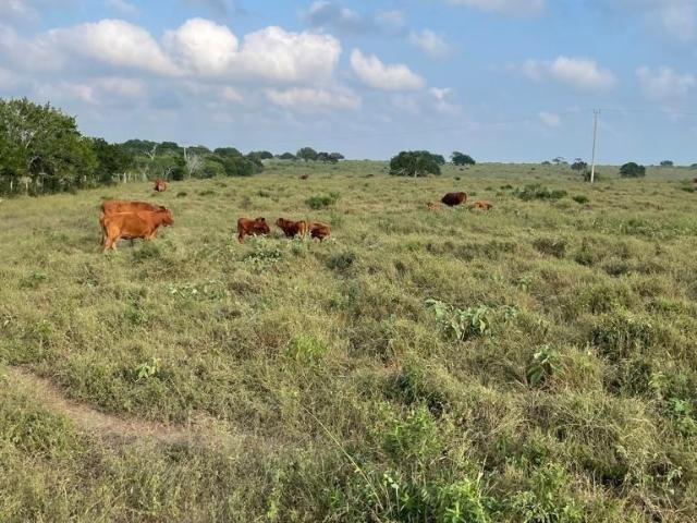Departamento en venta en Soto La Marina, Tamaulipas