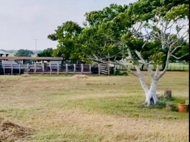 RANCHO SOTO LA MARINA