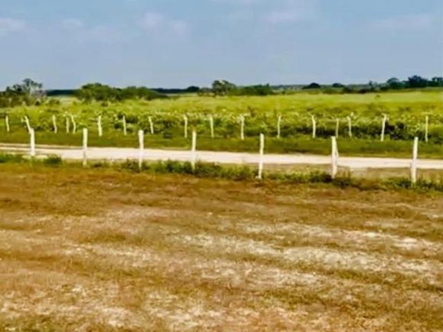 RANCHO SOTO LA MARINA