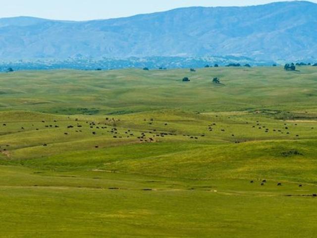 Land for sale in Red Bluff, California