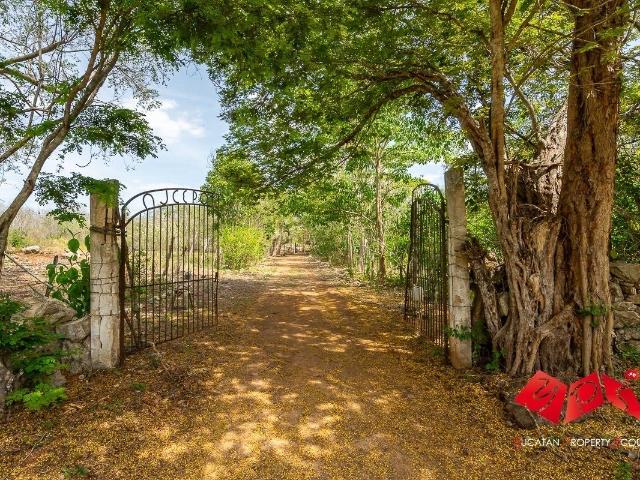 Rancho en venta en Seyé, Yucatán