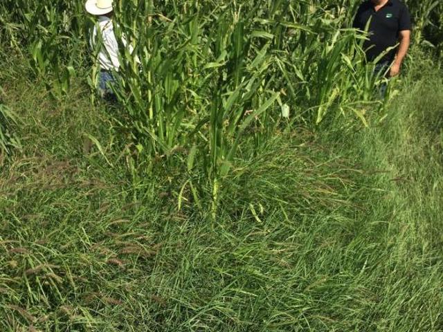 Rancho y Terreno de 8 hectáreas con Títulos