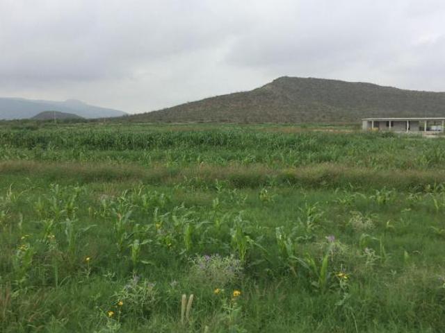 Rancho y Terreno de 8 hectáreas con Títulos