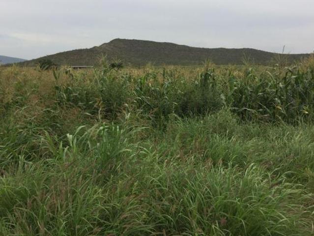 Rancho y Terreno de 8 hectáreas con Títulos