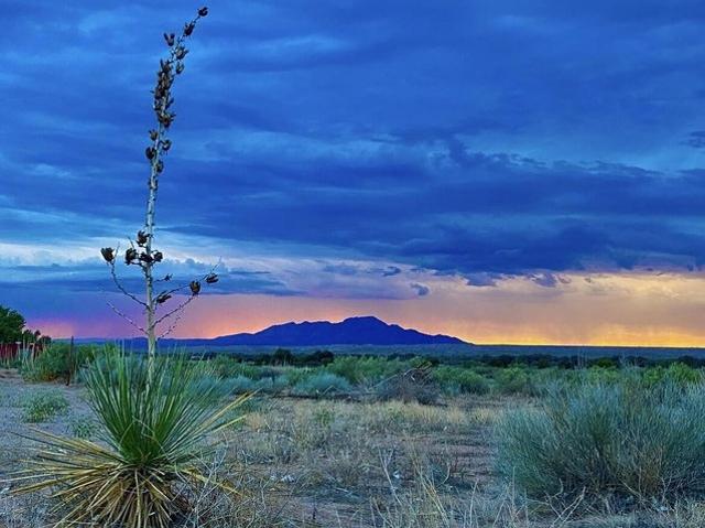 Farm for sale in Veguita, New Mexico