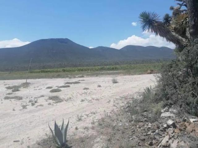 Ranchos, Terrenos, para eólicas, celdas solares, producción, etc