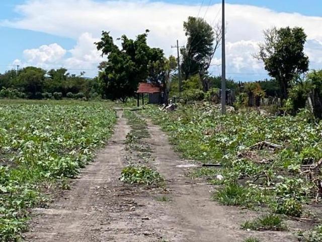 RANCHO/TERRENOS EN AYALA, MORELOS. CUAUTLA. CON POZOS DE AGUA