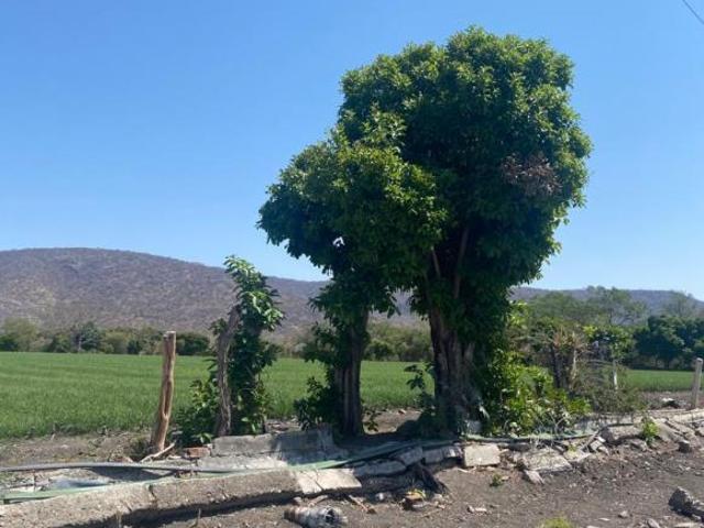RANCHO/TERRENOS EN AYALA, MORELOS. CUAUTLA. CON POZOS DE AGUA