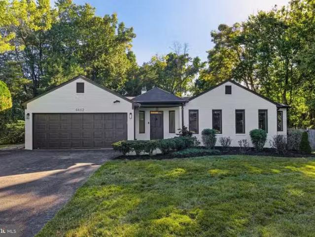 House for rent in Alexandria House for rent in Alexandria