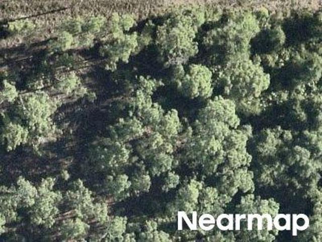 Land for sale in Lehigh Acres, Florida