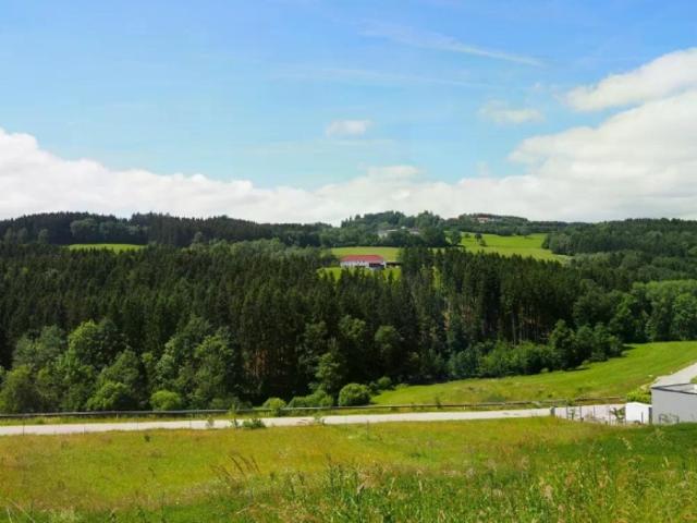 Grundstück kaufen in Haibach im Mühlkreis, Oberösterreich