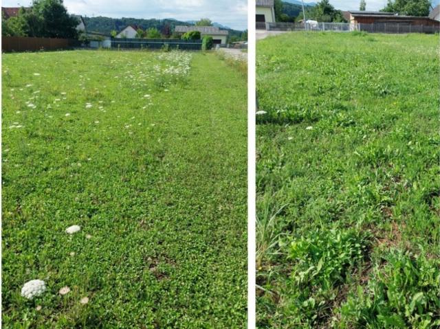 Grundstück kaufen in Sierning, Oberösterreich