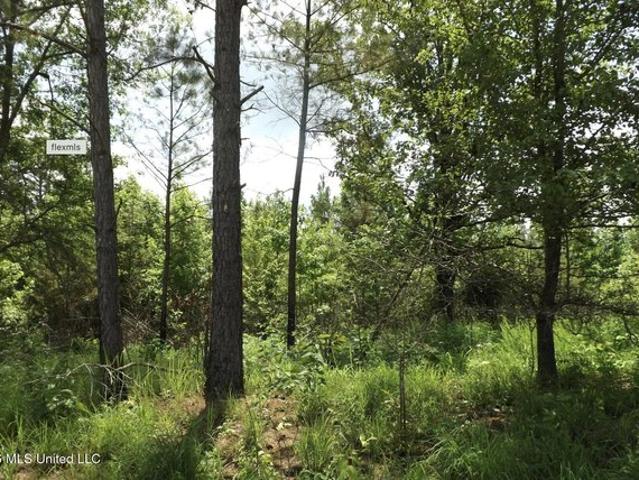 Land for sale in Lexington, Mississippi
