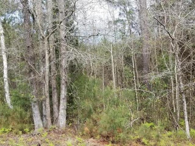Land for sale in Smoaks, South Carolina