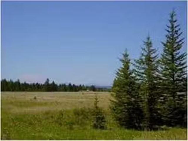 House for sale in Mountain View County, Alberta