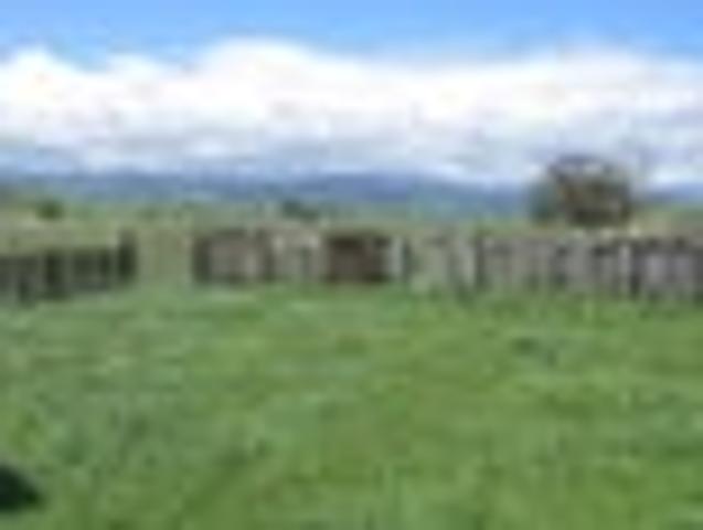 Land for sale in Horowhenua District