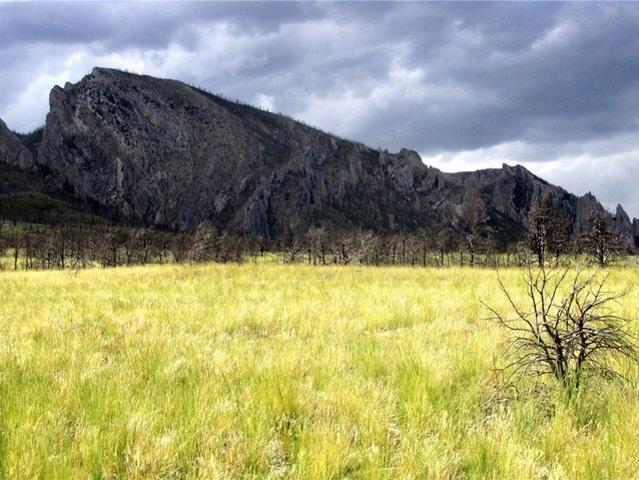 Land for sale in Belfry, Montana