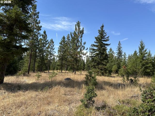 Land for sale in Goldendale, Washington