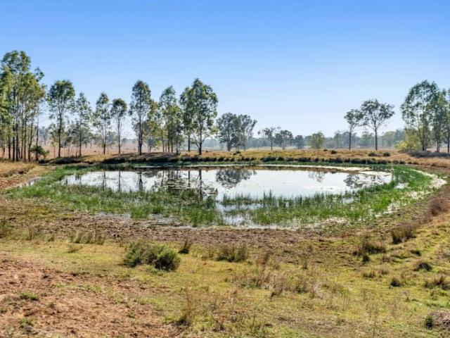 Property for sale in Toombul, Queensland
