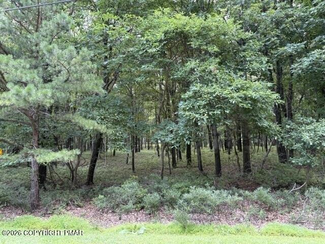 Land for sale in Gilbert, Pennsylvania