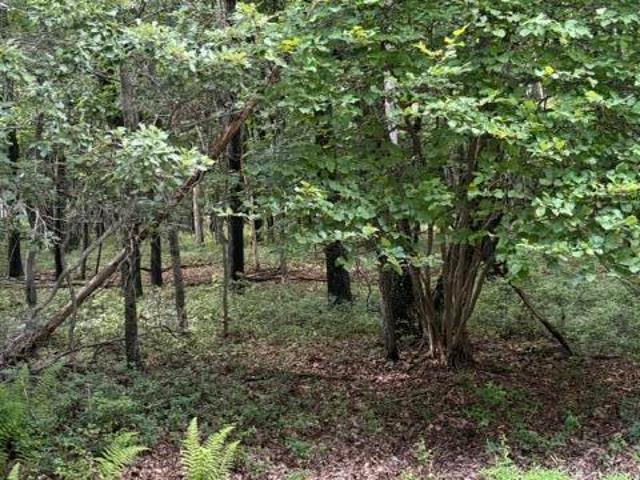 Land for sale in Sun Valley, Chestnuthill Township