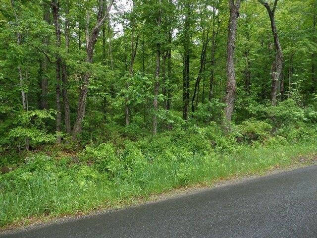 Land for sale in Ashfield, Massachusetts