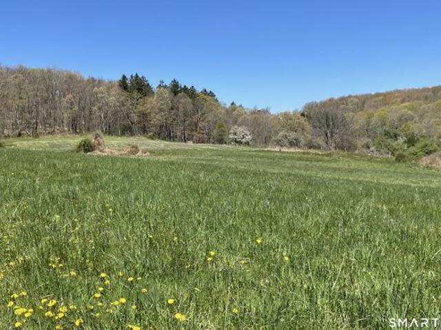 Land for sale in Roxbury, Connecticut