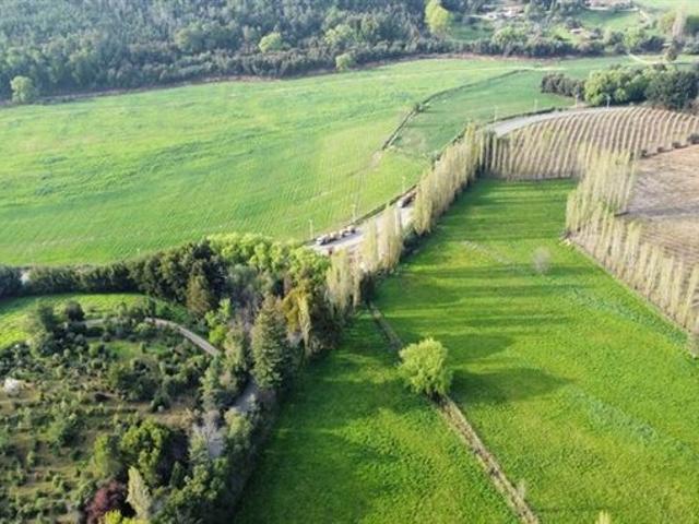 Ránquil, San Ignacio de Palomares