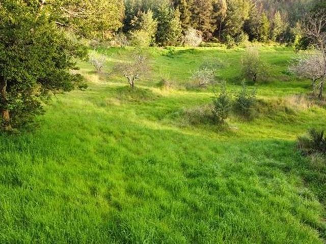 Ránquil, San Ignacio de Palomares