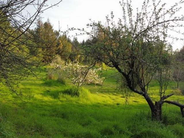 Ránquil, San Ignacio de Palomares