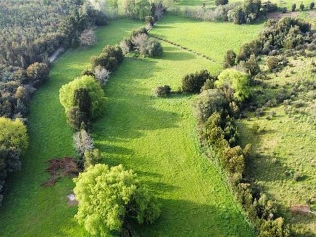 Ránquil, San Ignacio de Palomares