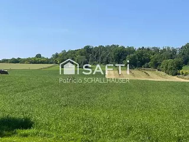 Terrain vente à Mulhouse, Rantzwiller